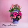 BOX TULIPANES