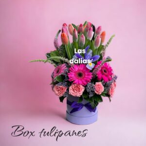 BOX TULIPANES