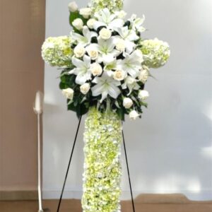 CRUZ LILIUM