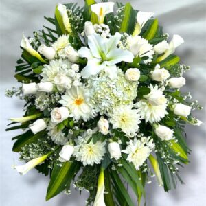 LAGRIMA FUNEBRE