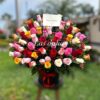 box de rosas de colores
