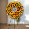 PICARON EPECIAL GIRASOLES