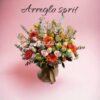 ARREGLO SPRIT