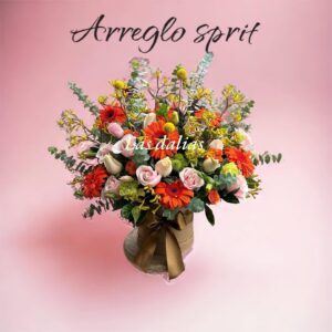 ARREGLO SPRIT
