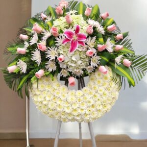CORONA PINK