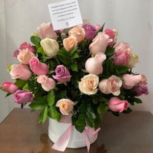 BOX ROSAS