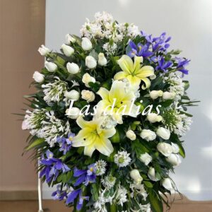 PARANTE IRIS ESPECIAL