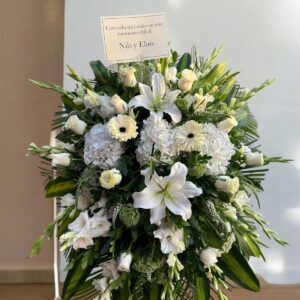 PARANTE BLANCO