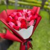 RAMO RED