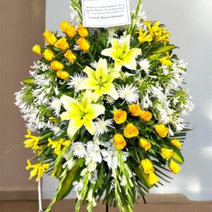 PARANTE ESPECIAL AMARILLO