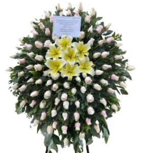 Tripode Premium Rosita