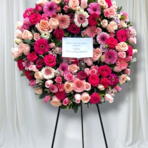 Corona Gerbera Premium